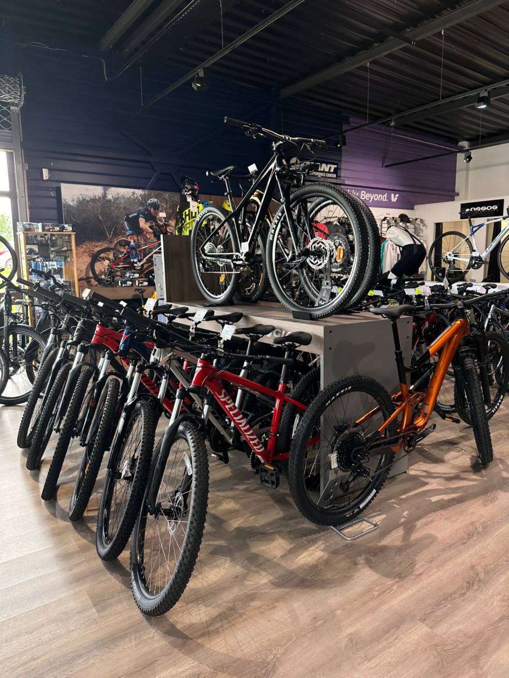 vélos tout terrain